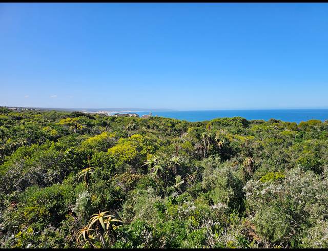 2,779M² VACANT LAND FOR SALE IN SPRINGERBAAI ECO ESTATE